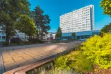 fesjambor122207.jpg