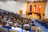 sponze122039.jpg
